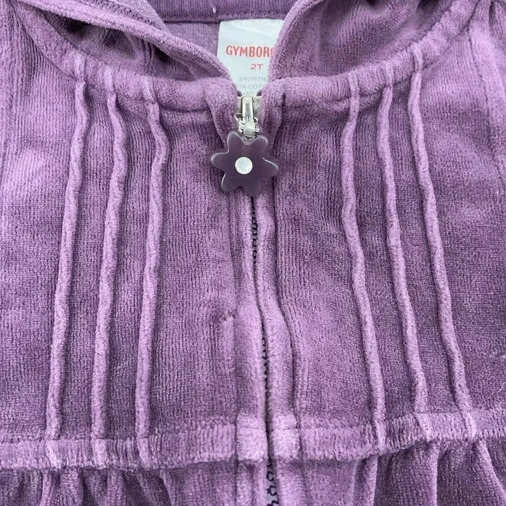 Gymboree 2T Hoodie Shirt Set Velour Purple Jacket‎ Old Navy Floral Long Sleeve